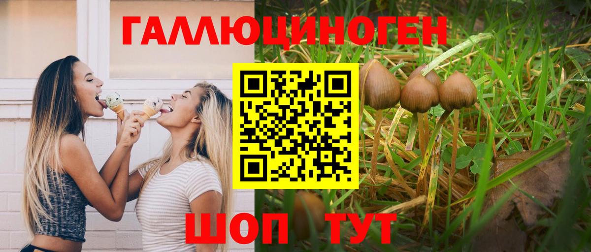 Псилоцибиновые грибы мицелий  Галлюциногенные грибы прущие грибы  Ивантеевка  Вход с VPN 